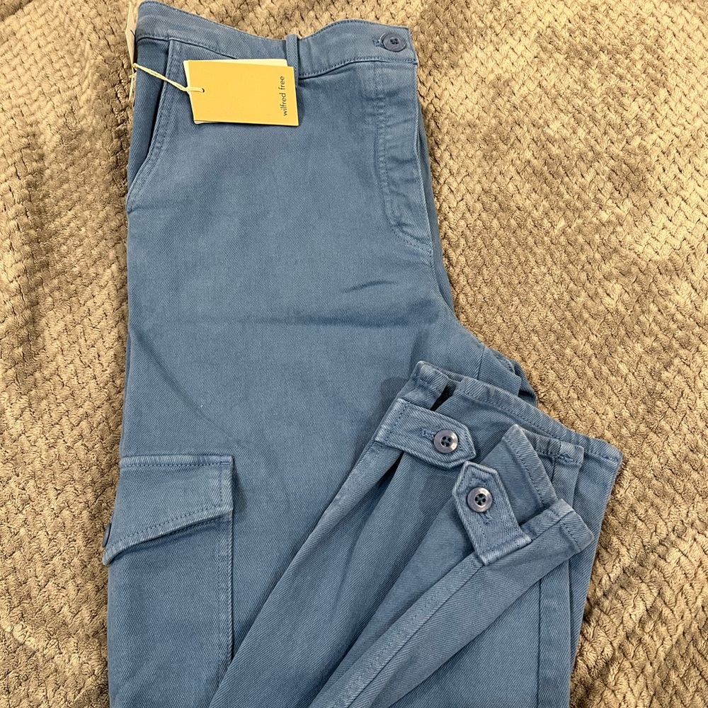 aritzia cargo pants